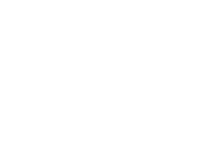 Alizee - Into The Wind